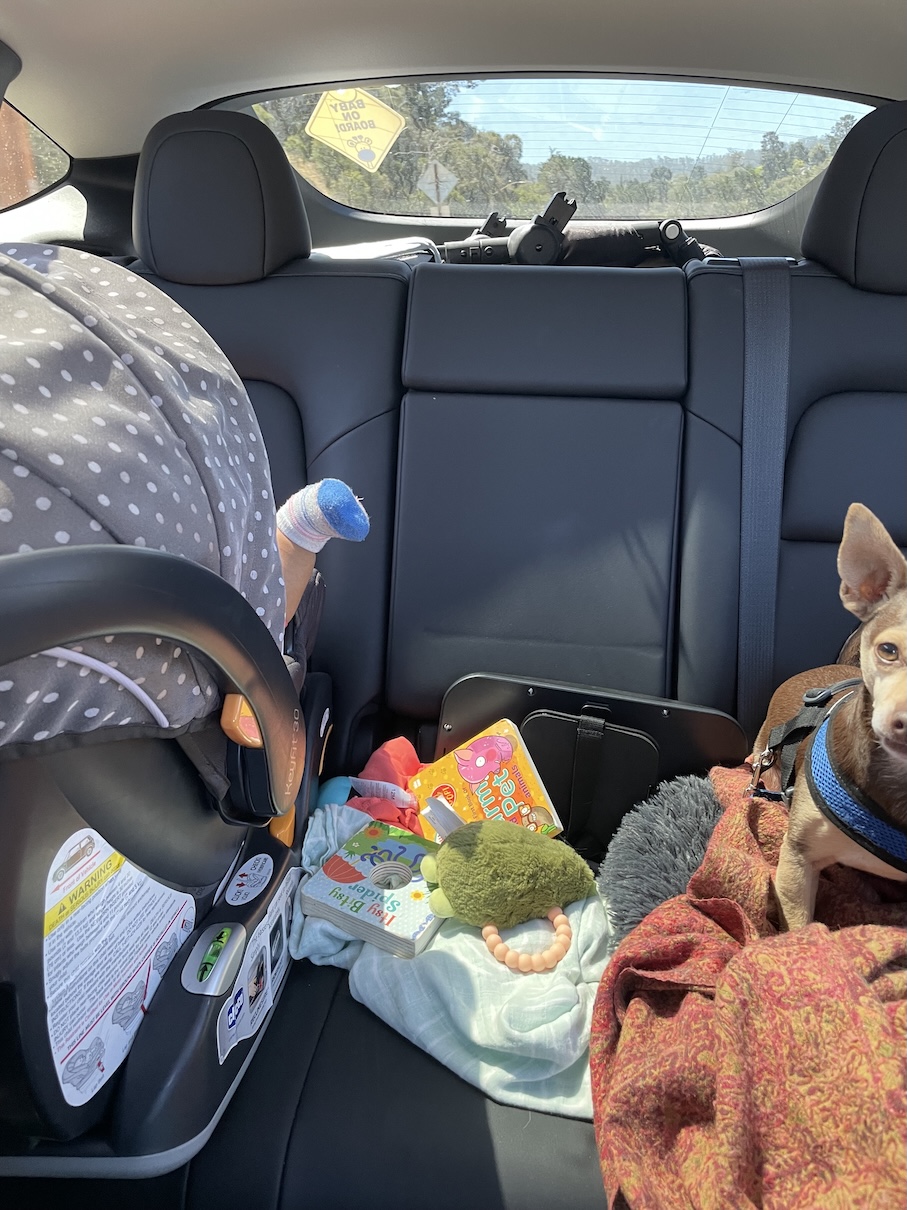 Maxi-Cosi Car Seat Review: Safe, Comfortable, and Eco-Friendly for Growing Families