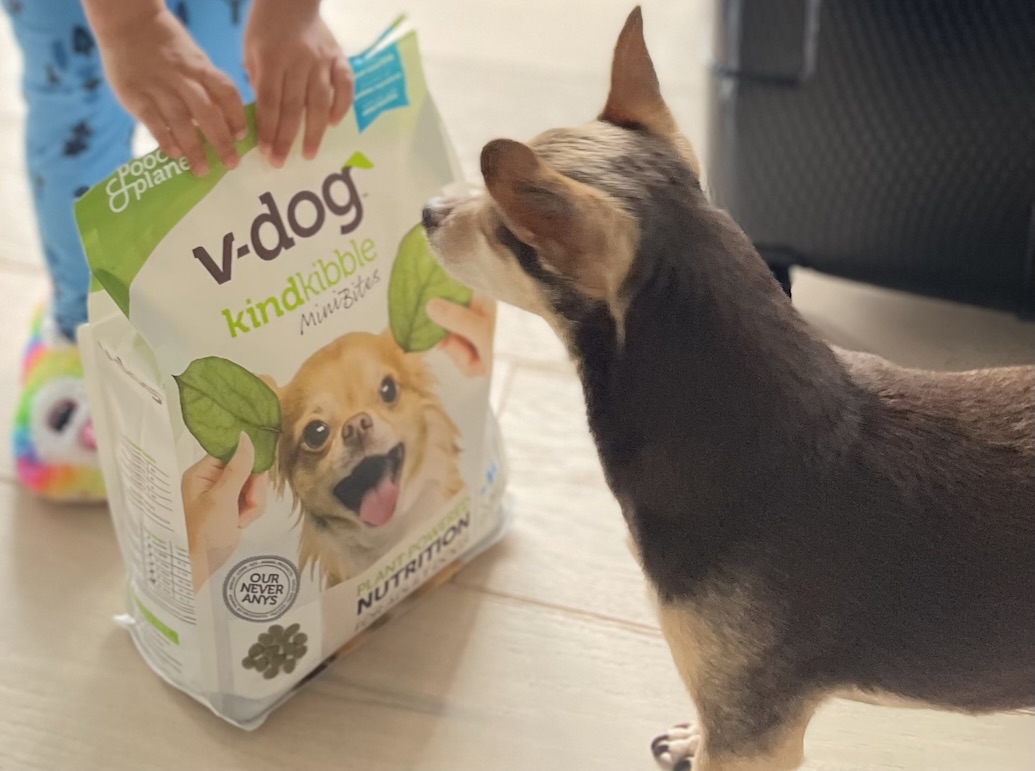 V-Dog Vegan Kibble Review: How We Keep Our Pup Happy and Healthy in Our Vegan Family